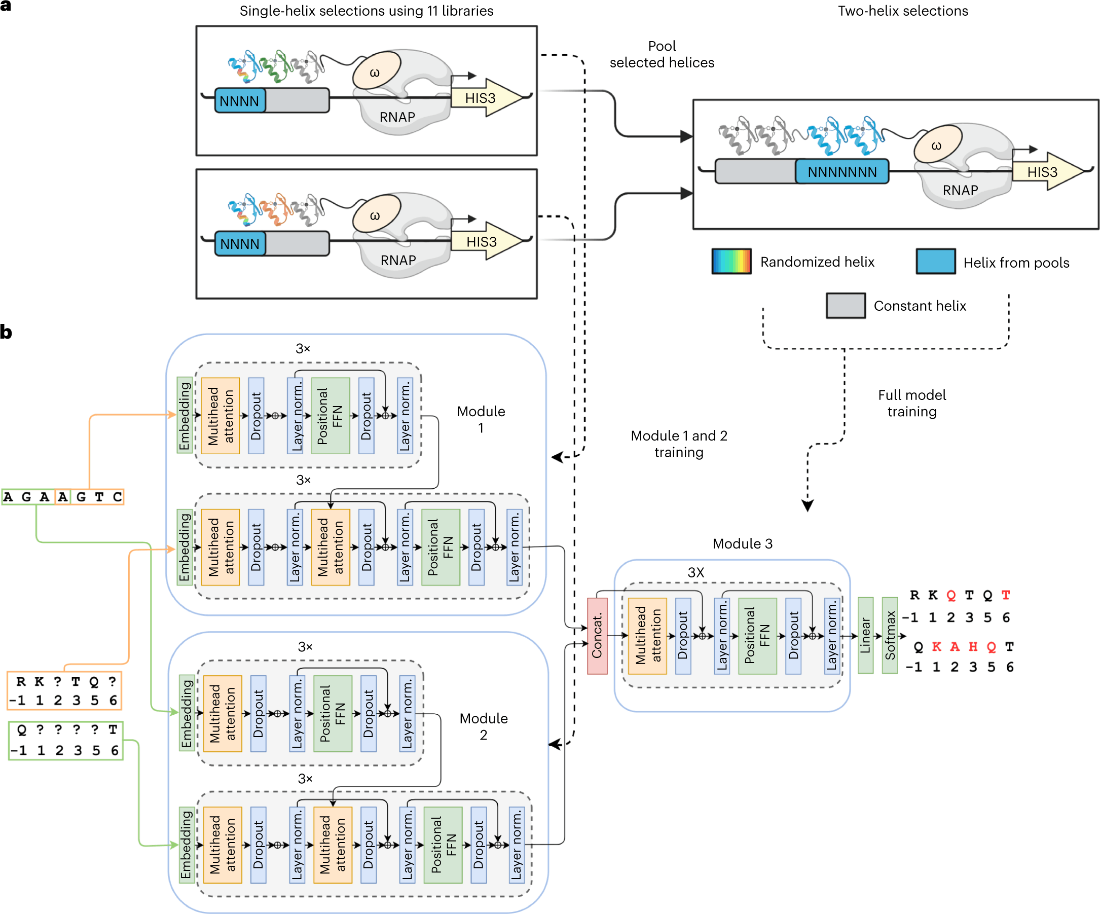 ZFDesign A Deep Learning Model for Zinc Finger Design CBIRT