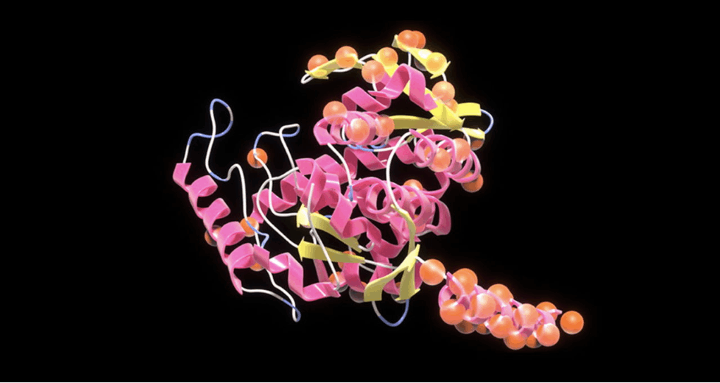 Transforming Protein Design with "ProTVAE" A Novel Approach Made