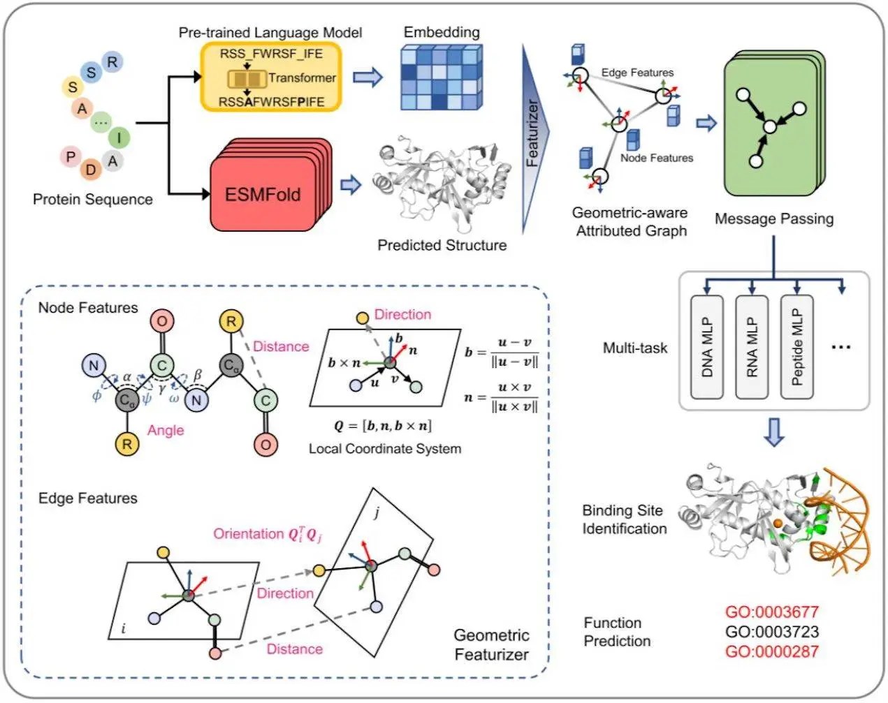 Language Models Paired with Geometric Deep Learning Revolutionize