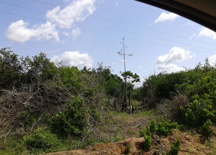 Agricultural plots for sale Malindi Coco Breeze Ltd