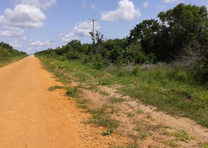 Agricultural plots for sale Malindi Coco Breeze Ltd