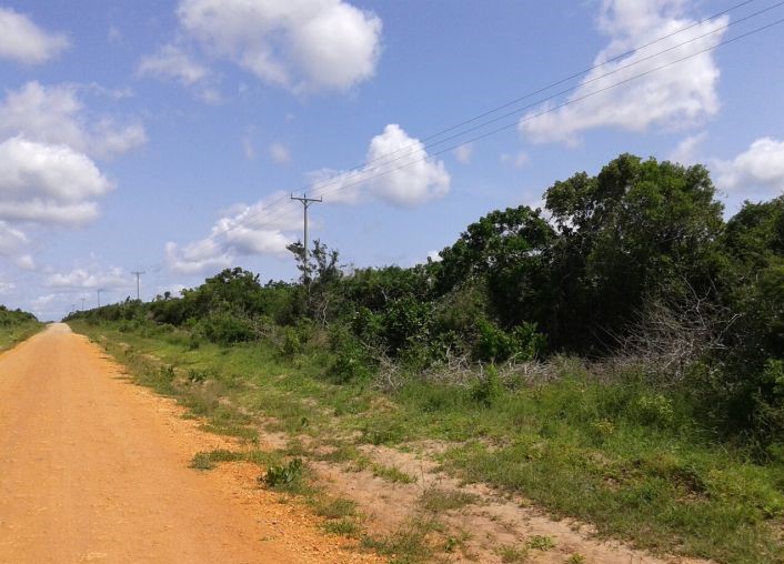 Agricultural plots for sale Malindi Coco Breeze Ltd