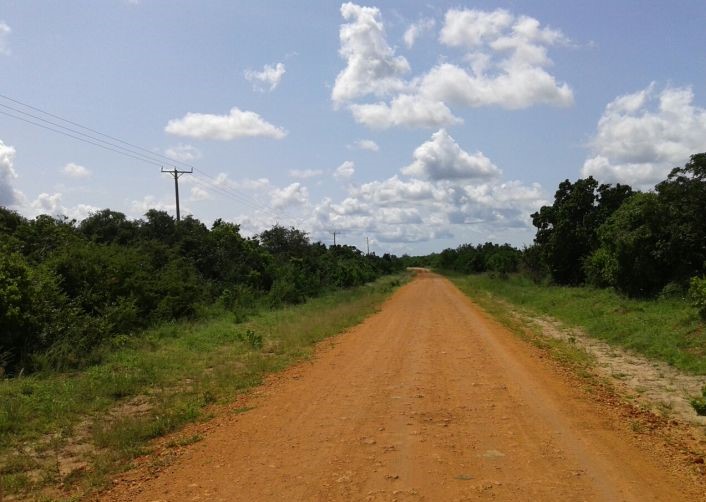 Agricultural plots for sale Malindi Coco Breeze Ltd