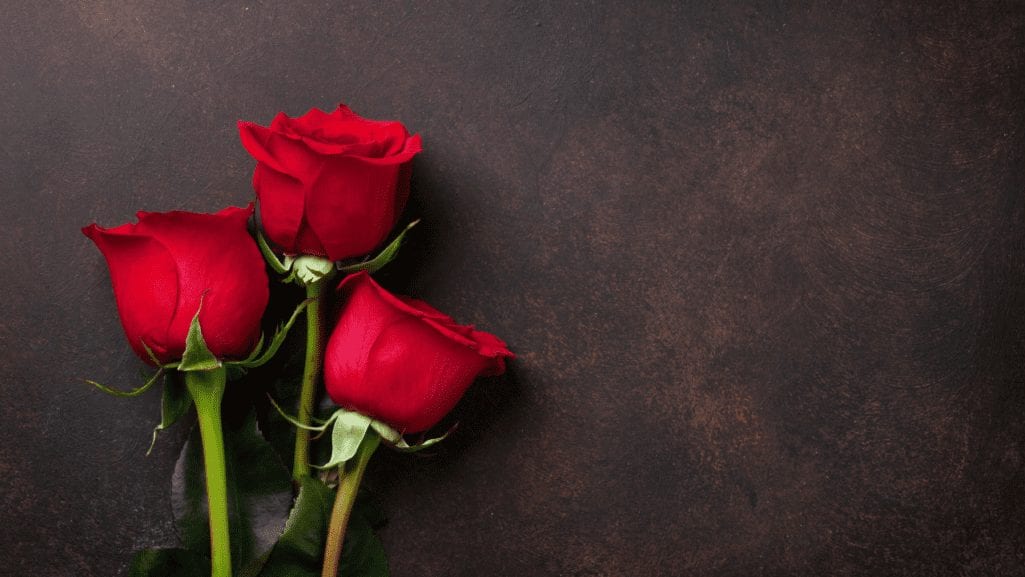 60 Free Valentine's Day Zoom Backgrounds