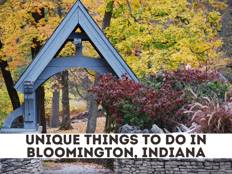 3 Unique Things to do in Bloomington, Indiana C Boarding Group