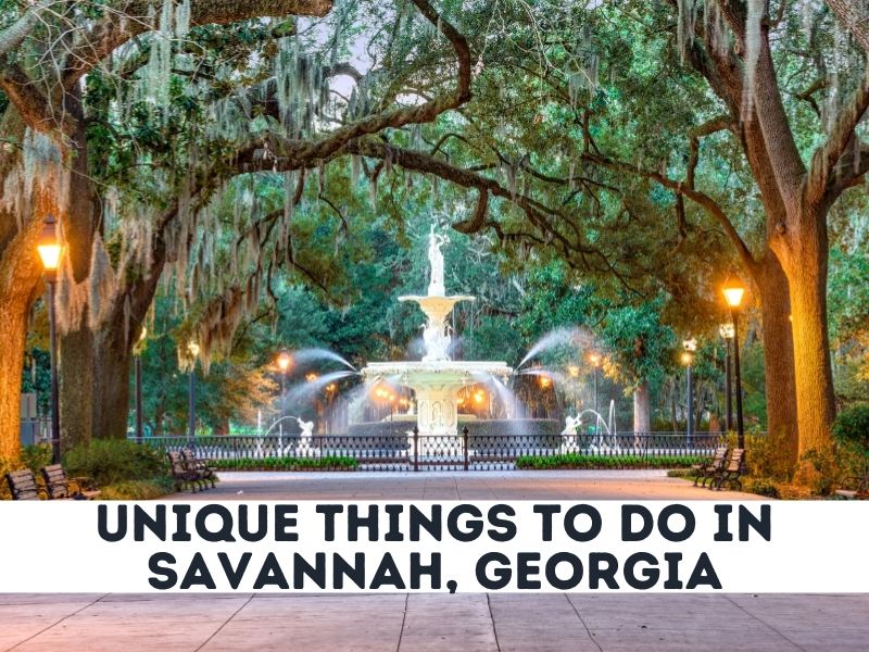 Unique Things to do in Savannah,
