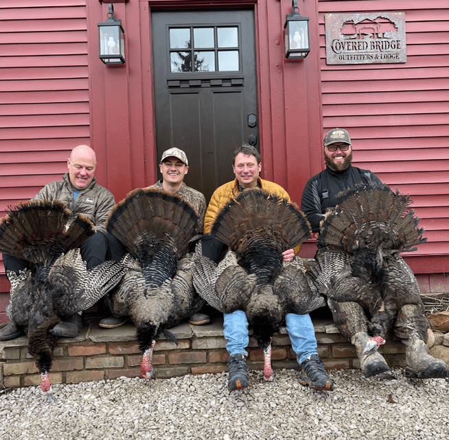 Turkey Hunting Packages Cbolodge