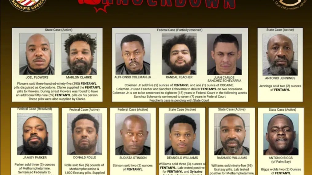 'Operation Knockdown' puts a dent in fentanyl, opioid distribution in(02)