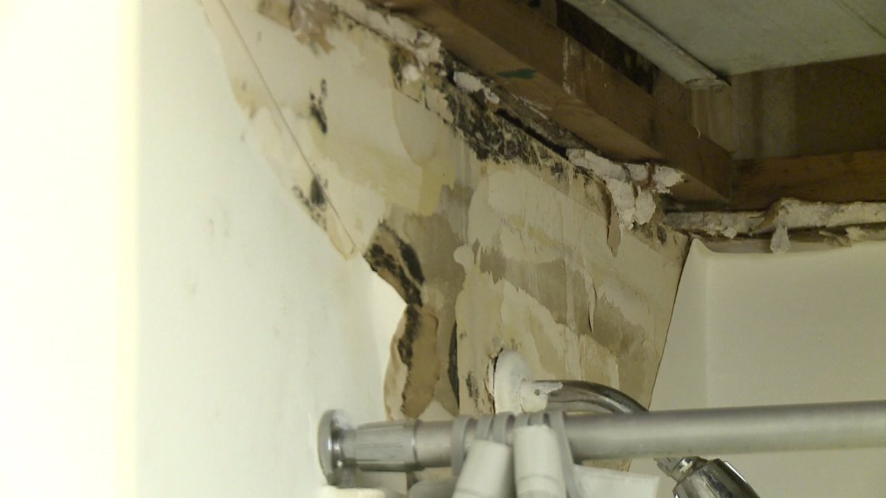 Residents living with mold, mildew in west side apartment complex now