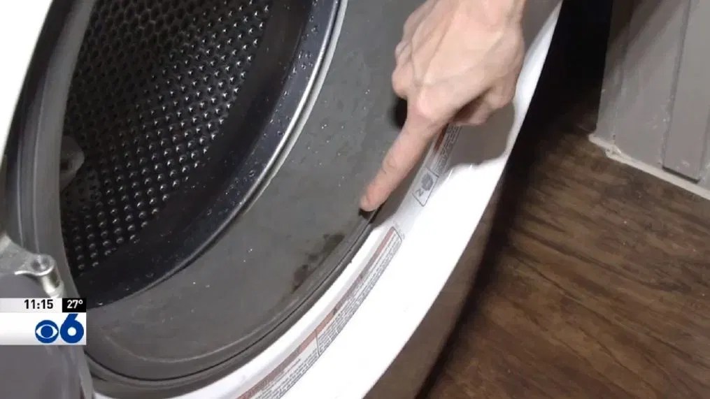 Consumer alert Mold, mildew in frontloading washers