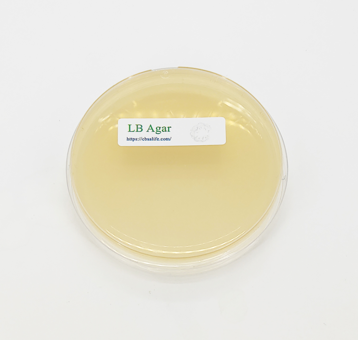 Lb Agar Recipe Bryont Blog
