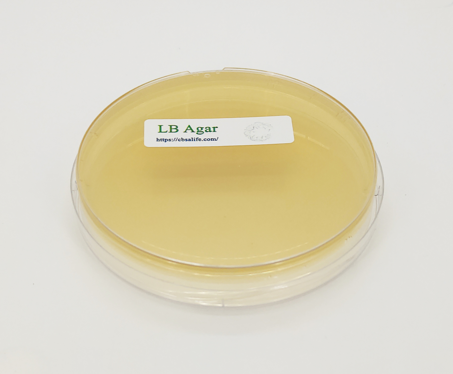 LuriaBertani (LB) Agar CBSAlife