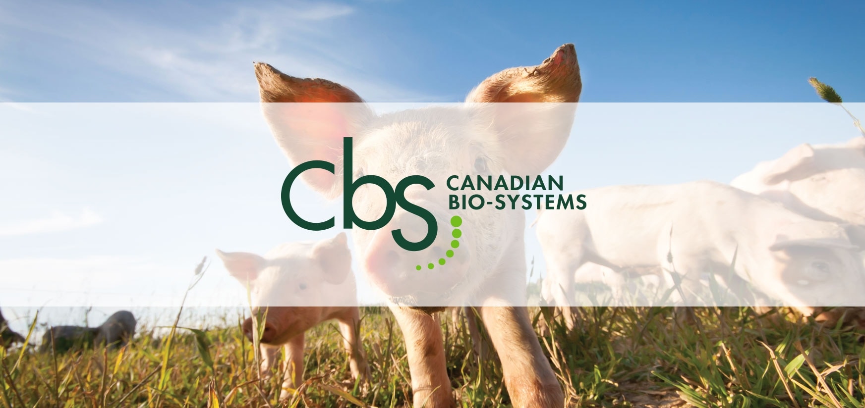 NutraMix offers insurance policy for livestock feed quality