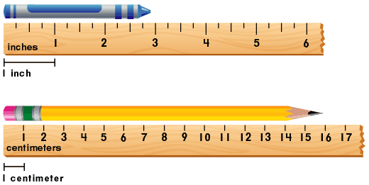 How Do You Measure Length - CBSE Library