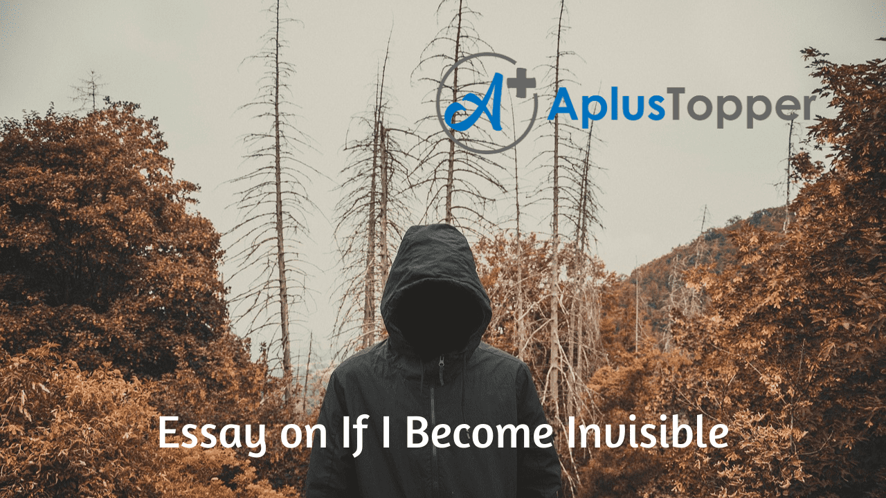 Essay on If I Invisible If I Invisible Essay for