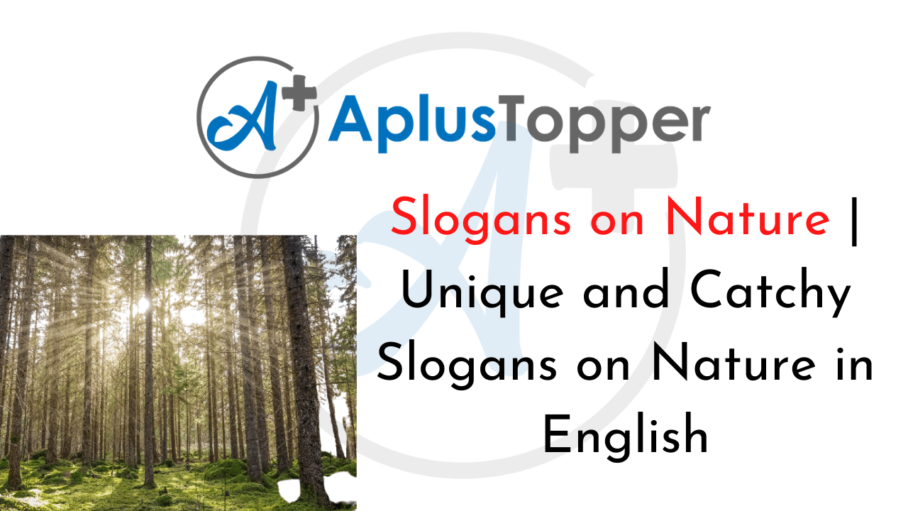 Slogans on Nature Unique and Catchy Slogans on Nature in English