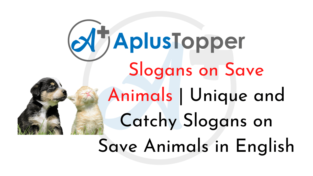 Slogans on Save Animals Unique and Catchy Slogans on Save Animals in