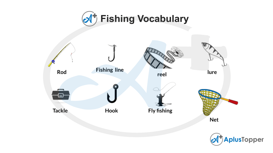 Fishing Vocabulary List of Fishing Vocabulary With Description and