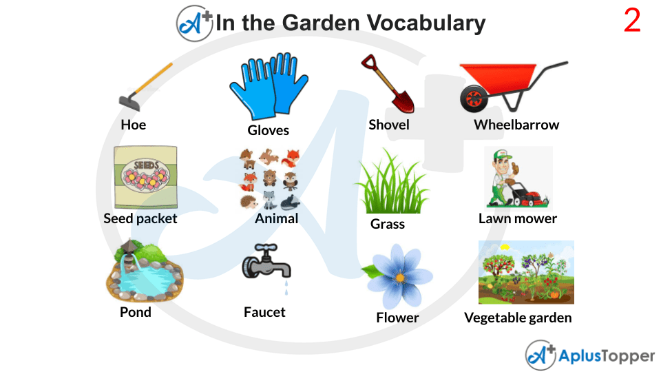 In The Garden Vocabulary List of Garden Vocabulary With Description