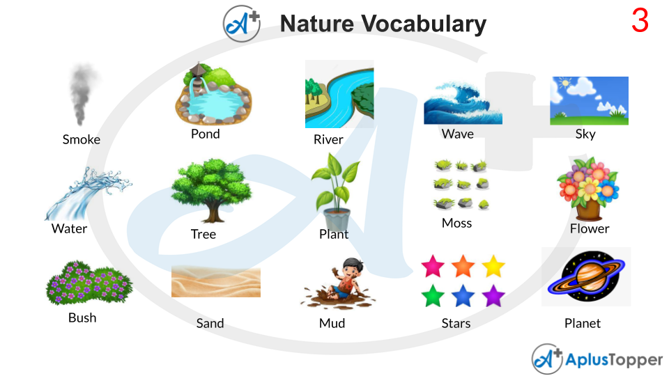 Nature Vocabulary List of Nature Vocabulary With Description and