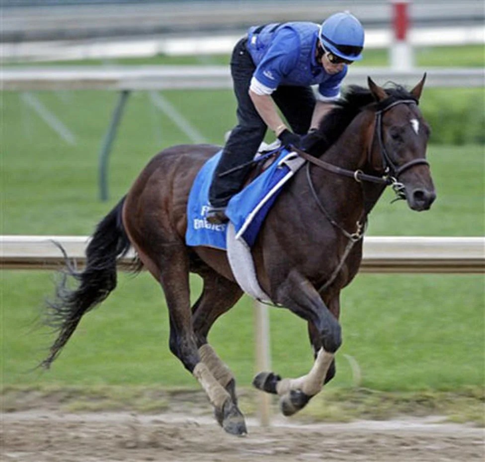 2009 Kentucky Derby Photo 10 Pictures CBS News