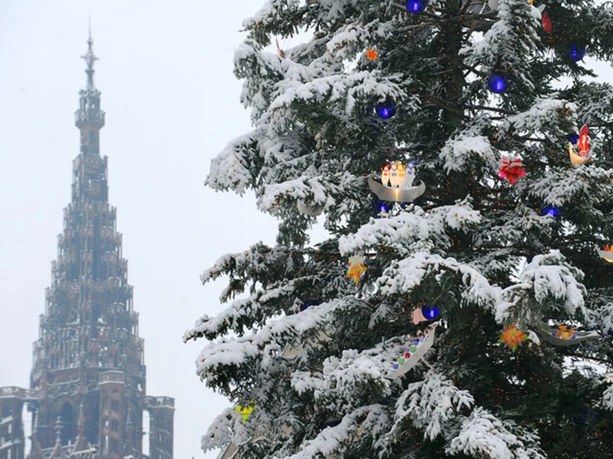 Christmas Trees Around The World 2023 A PHP Error was encountered Severity: Notice Message: Undefined variable: image Filename: C:\laragon\www\025-imake-01-07-23-bing-sentense\application\cache\blade\3aa85ec9516c5f321d399fdaef98cc95aba0bf89.php Line Number: 16 Backtrace: File: C:\laragon\www\025-imake-01-07-23-bing-sentense\application\cache\blade\3aa85ec9516c5f321d399fdaef98cc95aba0bf89.php Line: 16 Function: _error_handler File: C:\laragon\www\025-imake-01-07-23-bing-sentense\application\third_party\vendor\illuminate\view\Engines\PhpEngine.php Line: 41 Function: include File: C:\laragon\www\025-imake-01-07-23-bing-sentense\application\third_party\vendor\illuminate\view\Engines\CompilerEngine.php Line: 57 Function: evaluatePath File: C:\laragon\www\025-imake-01-07-23-bing-sentense\application\third_party\vendor\illuminate\view\View.php Line: 139 Function: get File: C:\laragon\www\025-imake-01-07-23-bing-sentense\application\third_party\vendor\illuminate\view\View.php Line: 122 Function: getContents File: C:\laragon\www\025-imake-01-07-23-bing-sentense\application\third_party\vendor\illuminate\view\View.php Line: 91 Function: renderContents File: C:\laragon\www\025-imake-01-07-23-bing-sentense\application\third_party\vendor\duncan3dc\blade\src\BladeInstance.php Line: 416 Function: render File: C:\laragon\www\025-imake-01-07-23-bing-sentense\application\helpers\blade_helper.php Line: 23 Function: render File: C:\laragon\www\025-imake-01-07-23-bing-sentense\application\helpers\export_blade_helper.php Line: 38 Function: view File: C:\laragon\www\025-imake-01-07-23-bing-sentense\application\cache\blade\cdde3bef8743dea3cfc253129eb3b2643dc9852f.php Line: 37 Function: exportXML File: C:\laragon\www\025-imake-01-07-23-bing-sentense\application\third_party\vendor\illuminate\view\Engines\PhpEngine.php Line: 41 Function: include File: C:\laragon\www\025-imake-01-07-23-bing-sentense\application\third_party\vendor\illuminate\view\Engines\CompilerEngine.php Line: 57 Function: evaluatePath File: C:\laragon\www\025-imake-01-07-23-bing-sentense\application\third_party\vendor\illuminate\view\View.php Line: 139 Function: get File: C:\laragon\www\025-imake-01-07-23-bing-sentense\application\third_party\vendor\illuminate\view\View.php Line: 122 Function: getContents File: C:\laragon\www\025-imake-01-07-23-bing-sentense\application\third_party\vendor\illuminate\view\View.php Line: 91 Function: renderContents File: C:\laragon\www\025-imake-01-07-23-bing-sentense\application\third_party\vendor\duncan3dc\blade\src\BladeInstance.php Line: 416 Function: render File: C:\laragon\www\025-imake-01-07-23-bing-sentense\application\helpers\blade_helper.php Line: 23 Function: render File: C:\laragon\www\025-imake-01-07-23-bing-sentense\application\models\export\Compile_xml.php Line: 17 Function: view File: C:\laragon\www\025-imake-01-07-23-bing-sentense\application\controllers\Export.php Line: 94 Function: start File: C:\laragon\www\025-imake-01-07-23-bing-sentense\application\controllers\Export.php Line: 43 Function: do_compile File: C:\laragon\www\025-imake-01-07-23-bing-sentense\index.php Line: 318 Function: require_once A PHP Error was encountered Severity: Notice Message: Trying to access array offset on value of type null Filename: C:\laragon\www\025-imake-01-07-23-bing-sentense\application\cache\blade\3aa85ec9516c5f321d399fdaef98cc95aba0bf89.php Line Number: 16 Backtrace: File: C:\laragon\www\025-imake-01-07-23-bing-sentense\application\cache\blade\3aa85ec9516c5f321d399fdaef98cc95aba0bf89.php Line: 16 Function: _error_handler File: C:\laragon\www\025-imake-01-07-23-bing-sentense\application\third_party\vendor\illuminate\view\Engines\PhpEngine.php Line: 41 Function: include File: C:\laragon\www\025-imake-01-07-23-bing-sentense\application\third_party\vendor\illuminate\view\Engines\CompilerEngine.php Line: 57 Function: evaluatePath File: C:\laragon\www\025-imake-01-07-23-bing-sentense\application\third_party\vendor\illuminate\view\View.php Line: 139 Function: get File: C:\laragon\www\025-imake-01-07-23-bing-sentense\application\third_party\vendor\illuminate\view\View.php Line: 122 Function: getContents File: C:\laragon\www\025-imake-01-07-23-bing-sentense\application\third_party\vendor\illuminate\view\View.php Line: 91 Function: renderContents File: C:\laragon\www\025-imake-01-07-23-bing-sentense\application\third_party\vendor\duncan3dc\blade\src\BladeInstance.php Line: 416 Function: render File: C:\laragon\www\025-imake-01-07-23-bing-sentense\application\helpers\blade_helper.php Line: 23 Function: render File: C:\laragon\www\025-imake-01-07-23-bing-sentense\application\helpers\export_blade_helper.php Line: 38 Function: view File: C:\laragon\www\025-imake-01-07-23-bing-sentense\application\cache\blade\cdde3bef8743dea3cfc253129eb3b2643dc9852f.php Line: 37 Function: exportXML File: C:\laragon\www\025-imake-01-07-23-bing-sentense\application\third_party\vendor\illuminate\view\Engines\PhpEngine.php Line: 41 Function: include File: C:\laragon\www\025-imake-01-07-23-bing-sentense\application\third_party\vendor\illuminate\view\Engines\CompilerEngine.php Line: 57 Function: evaluatePath File: C:\laragon\www\025-imake-01-07-23-bing-sentense\application\third_party\vendor\illuminate\view\View.php Line: 139 Function: get File: C:\laragon\www\025-imake-01-07-23-bing-sentense\application\third_party\vendor\illuminate\view\View.php Line: 122 Function: getContents File: C:\laragon\www\025-imake-01-07-23-bing-sentense\application\third_party\vendor\illuminate\view\View.php Line: 91 Function: renderContents File: C:\laragon\www\025-imake-01-07-23-bing-sentense\application\third_party\vendor\duncan3dc\blade\src\BladeInstance.php Line: 416 Function: render File: C:\laragon\www\025-imake-01-07-23-bing-sentense\application\helpers\blade_helper.php Line: 23 Function: render File: C:\laragon\www\025-imake-01-07-23-bing-sentense\application\models\export\Compile_xml.php Line: 17 Function: view File: C:\laragon\www\025-imake-01-07-23-bing-sentense\application\controllers\Export.php Line: 94 Function: start File: C:\laragon\www\025-imake-01-07-23-bing-sentense\application\controllers\Export.php Line: 43 Function: do_compile File: C:\laragon\www\025-imake-01-07-23-bing-sentense\index.php Line: 318 Function: require_once 