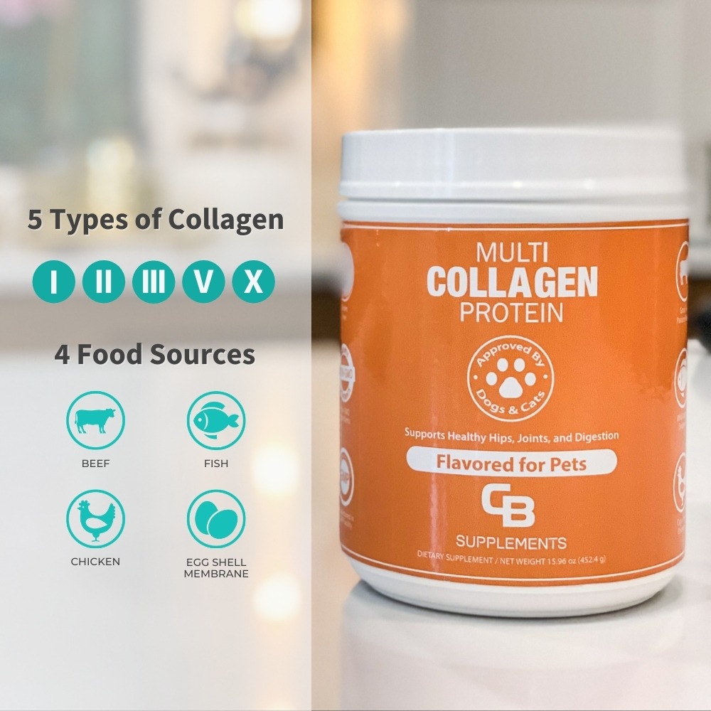 Is Collagen Powder Good For Dogs