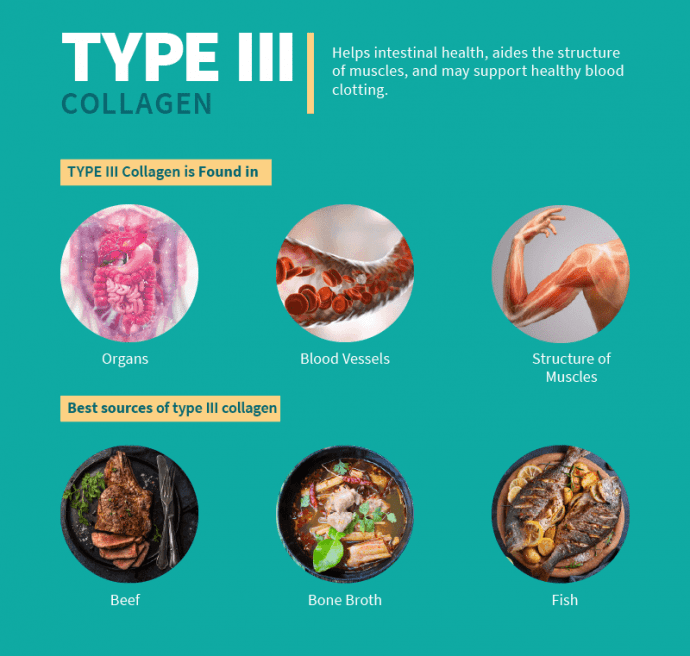 What are the 5 Types of Collagen? Their sources & if you need all 5