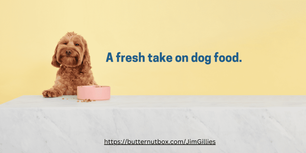 Butternut Box A Comprehensive Review Dog Training Blog