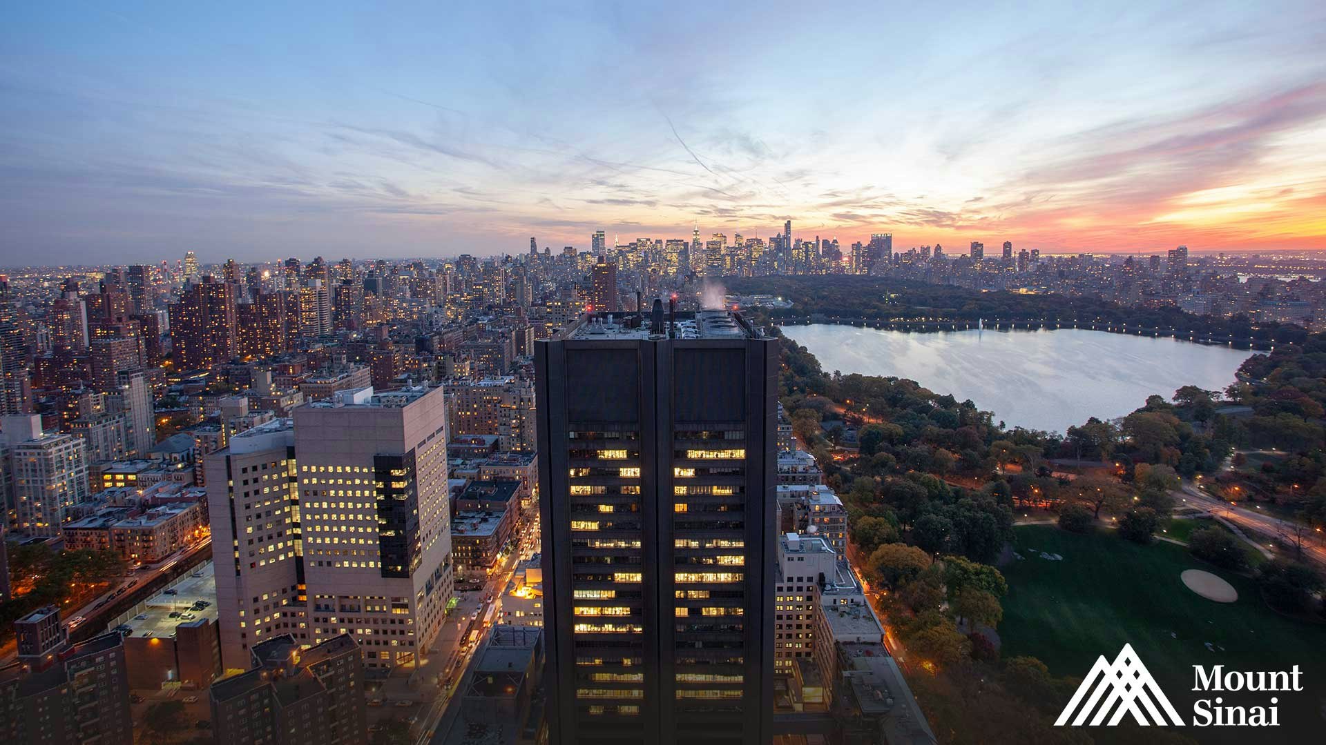 Icahn School of Medicine at Mount Sinai Children's Brain Tumor Network