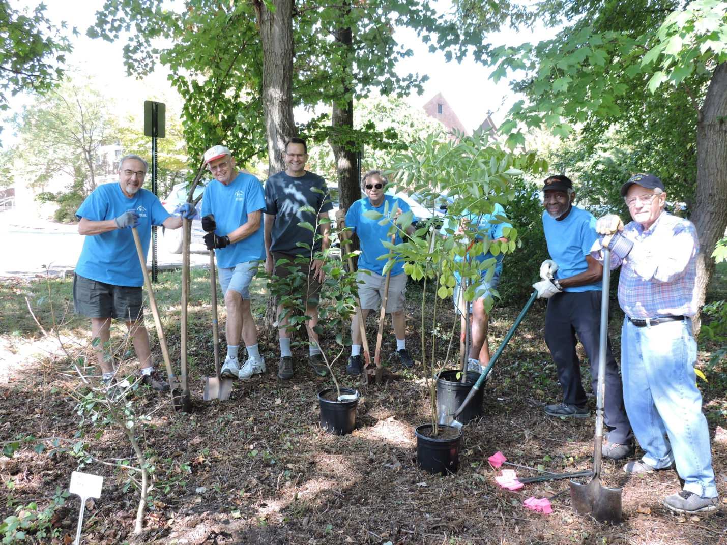 Anne Arundel County Community Tree Planting Chesapeake Bay Trust
