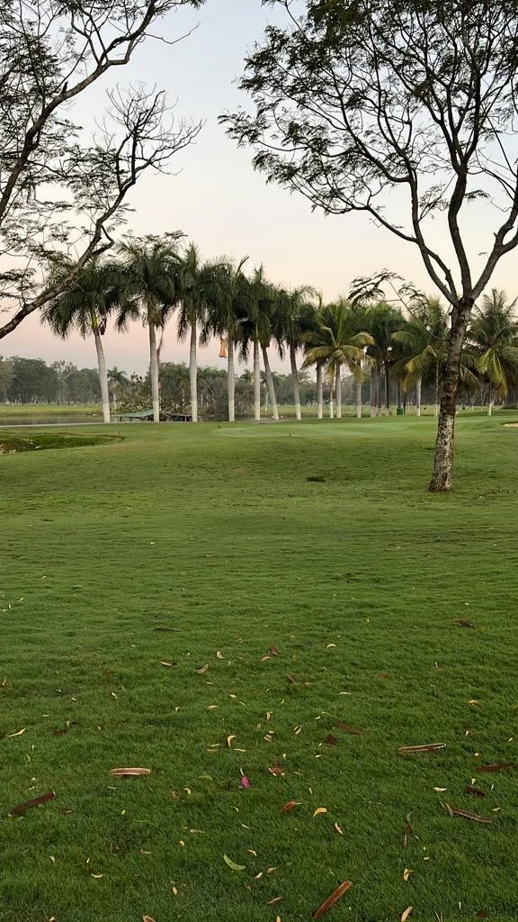 Plot for Sale in Eagleton The Golf Resort, Mysore Road