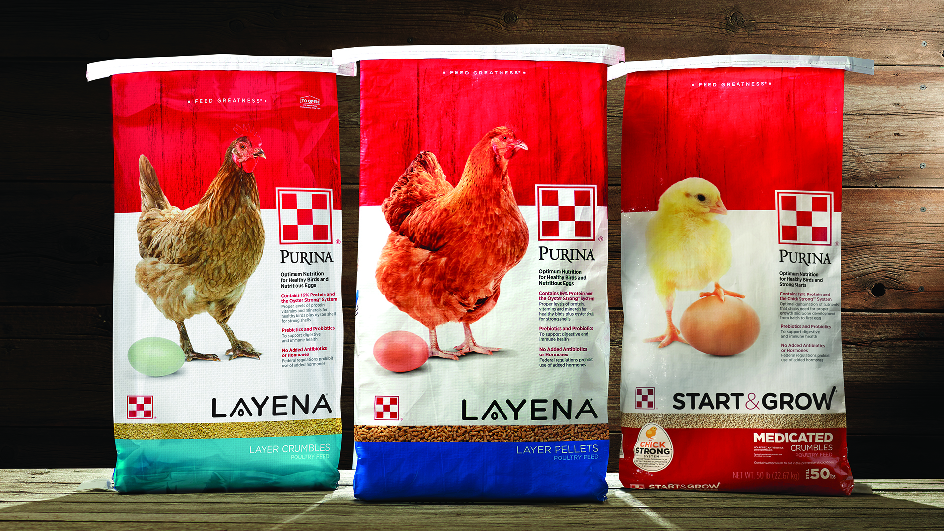 CBX Feeding Greatness