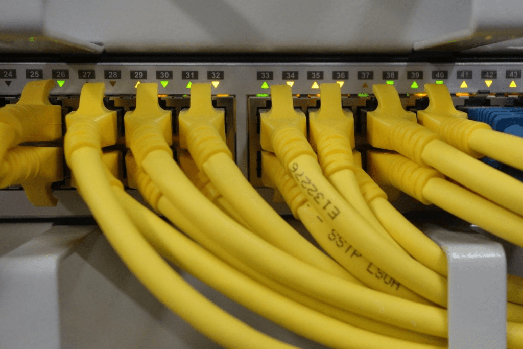 Cat6 vs. Cat6a What's the Real Difference