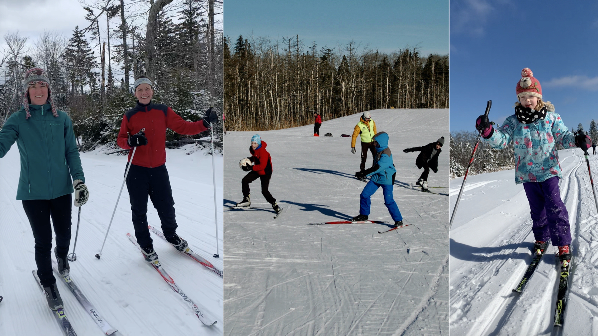 Programs + Trails at Halifax Nordic Ski Club Cross Country Nova Scotia