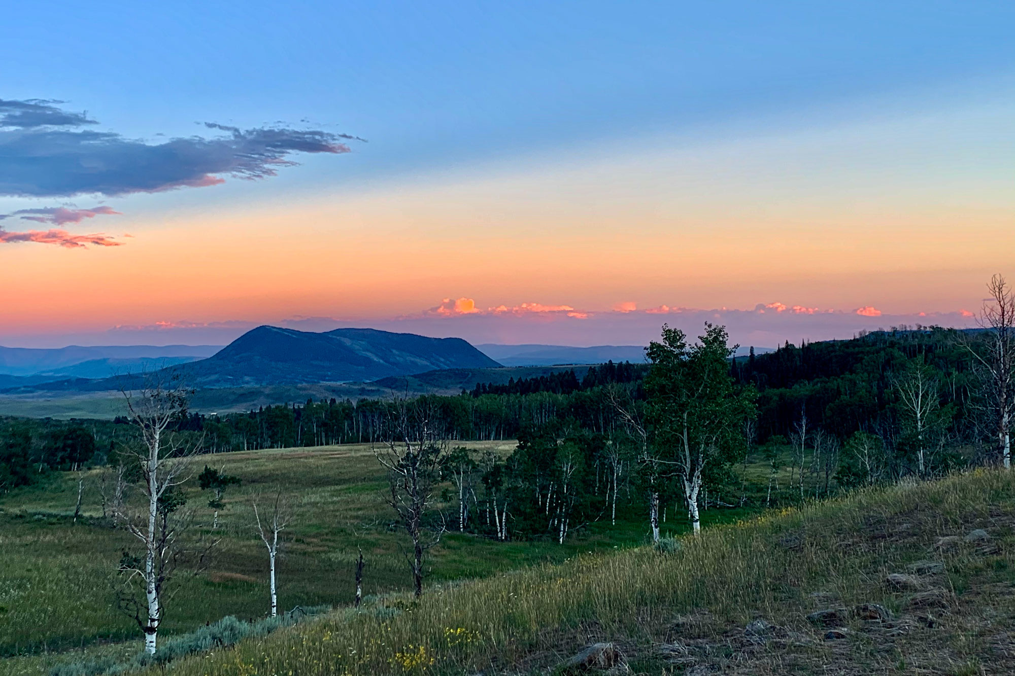 Second Phase of Alpine Zephyr Ranch Conserved Colorado Cattlemen's
