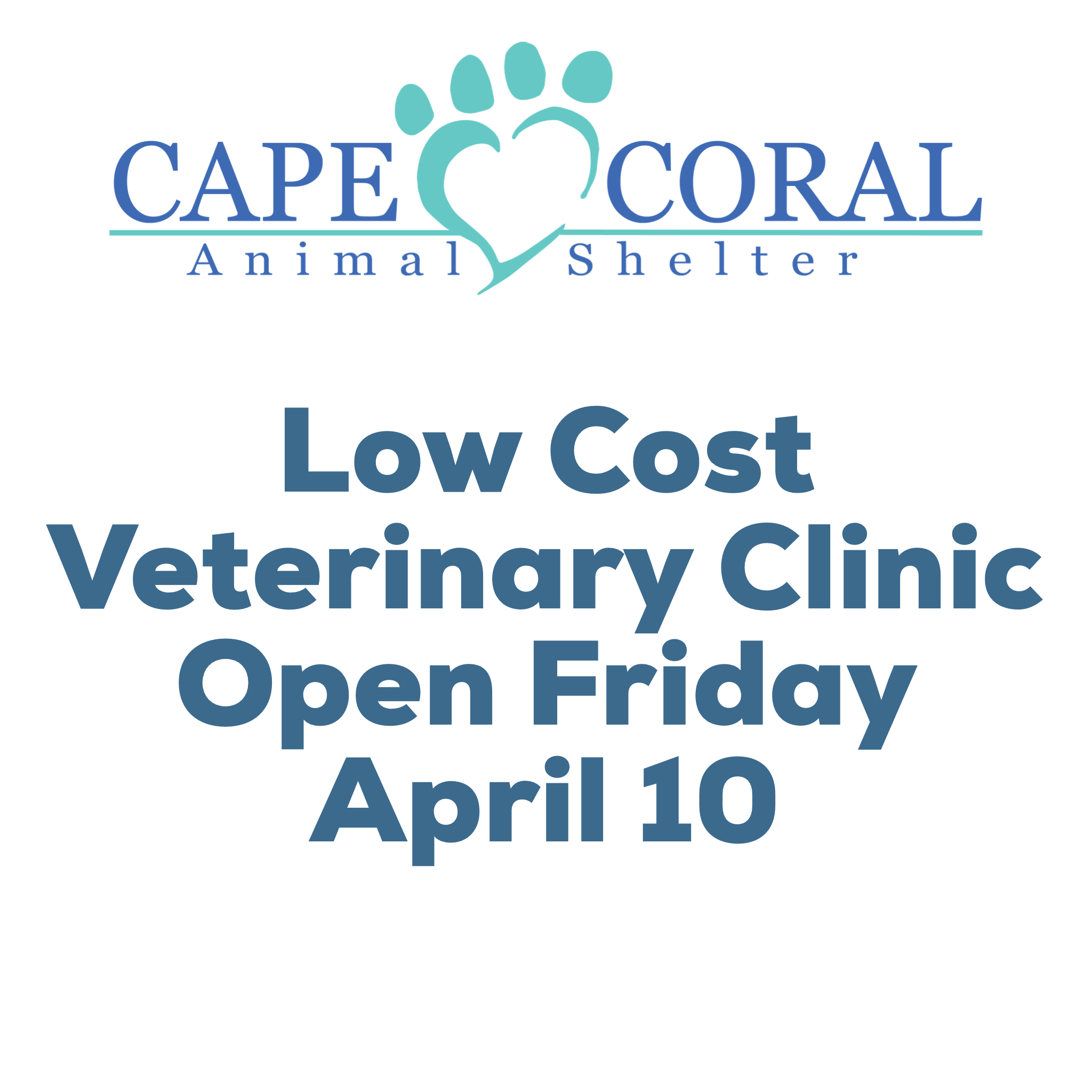 Veterinary Clinic Open on Friday, April 10 Cape Coral Animal Shelter