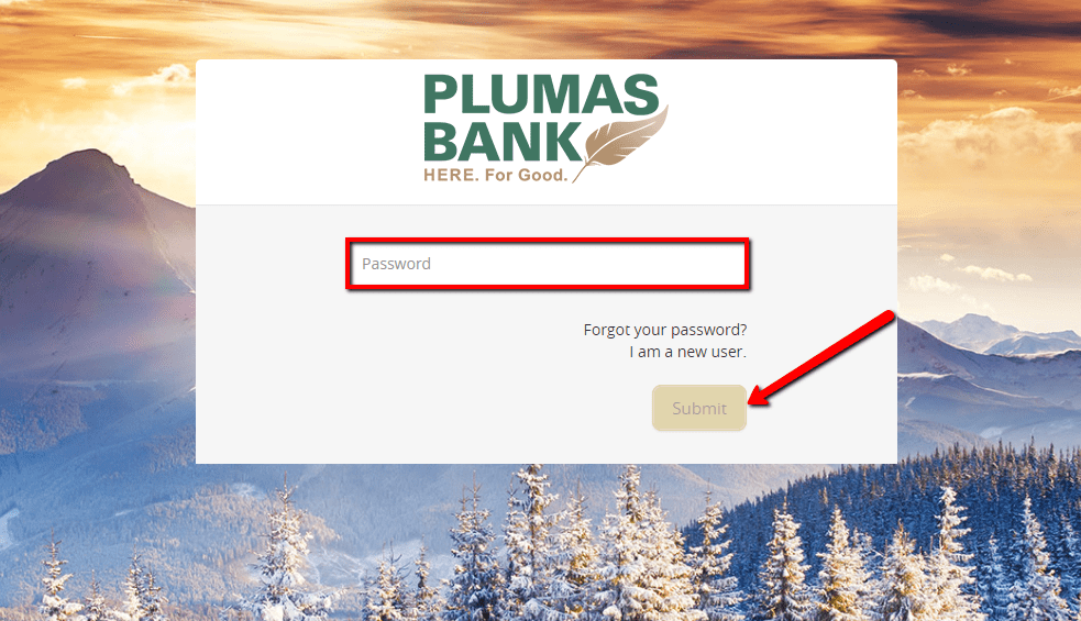Plumas Bank Online Banking Login CC Bank