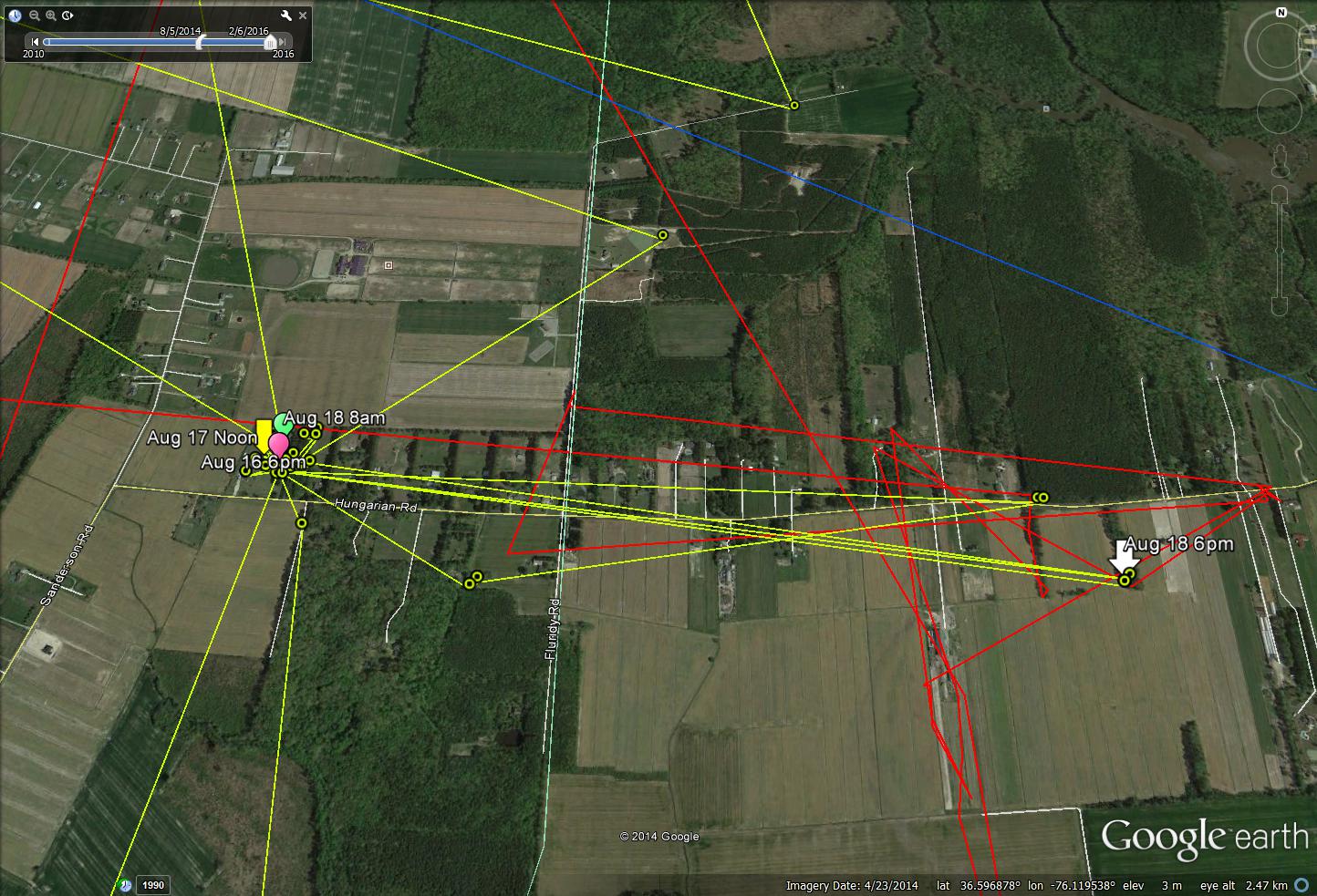 Camellia Stays off Hungarian Rd 8/18 The Center for Conservation Biology