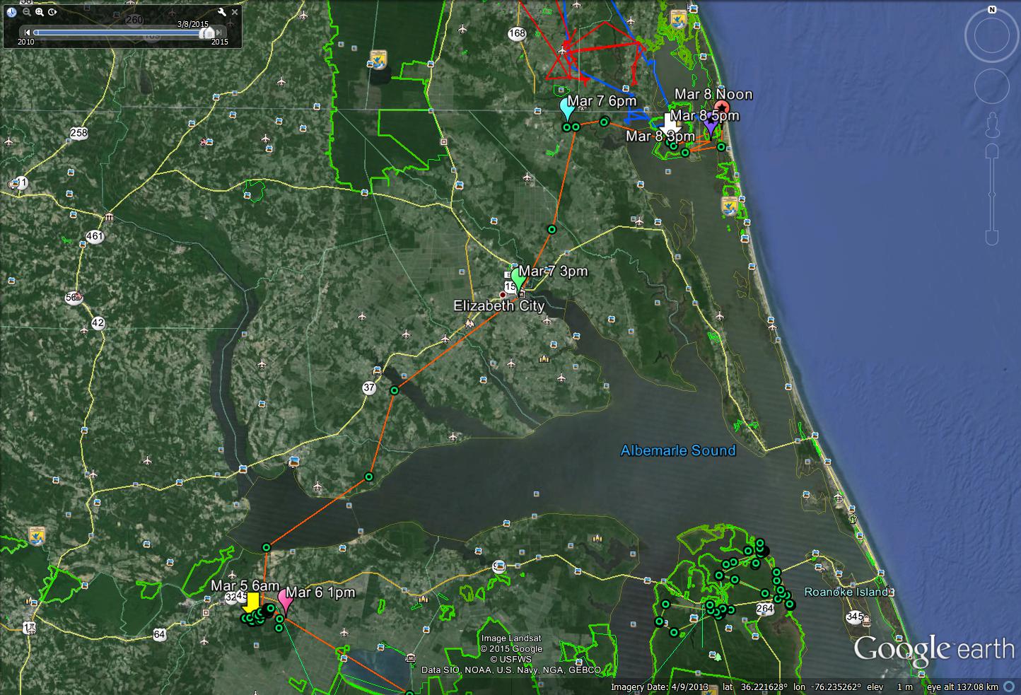 Grace at Mackay Island National Wildlife Refuge 3/8/2015 The Center