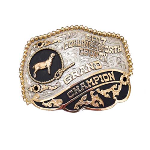 Champion's Choice Silver Buckles & Awards