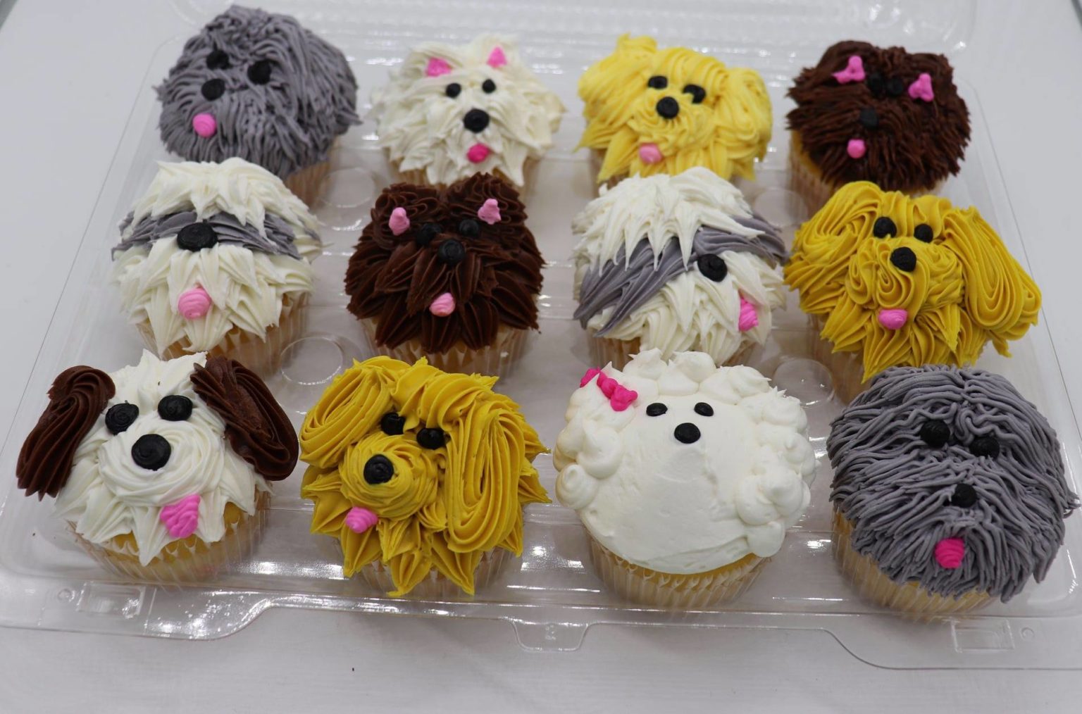 Dog Cupcake Assortment C&C Candies