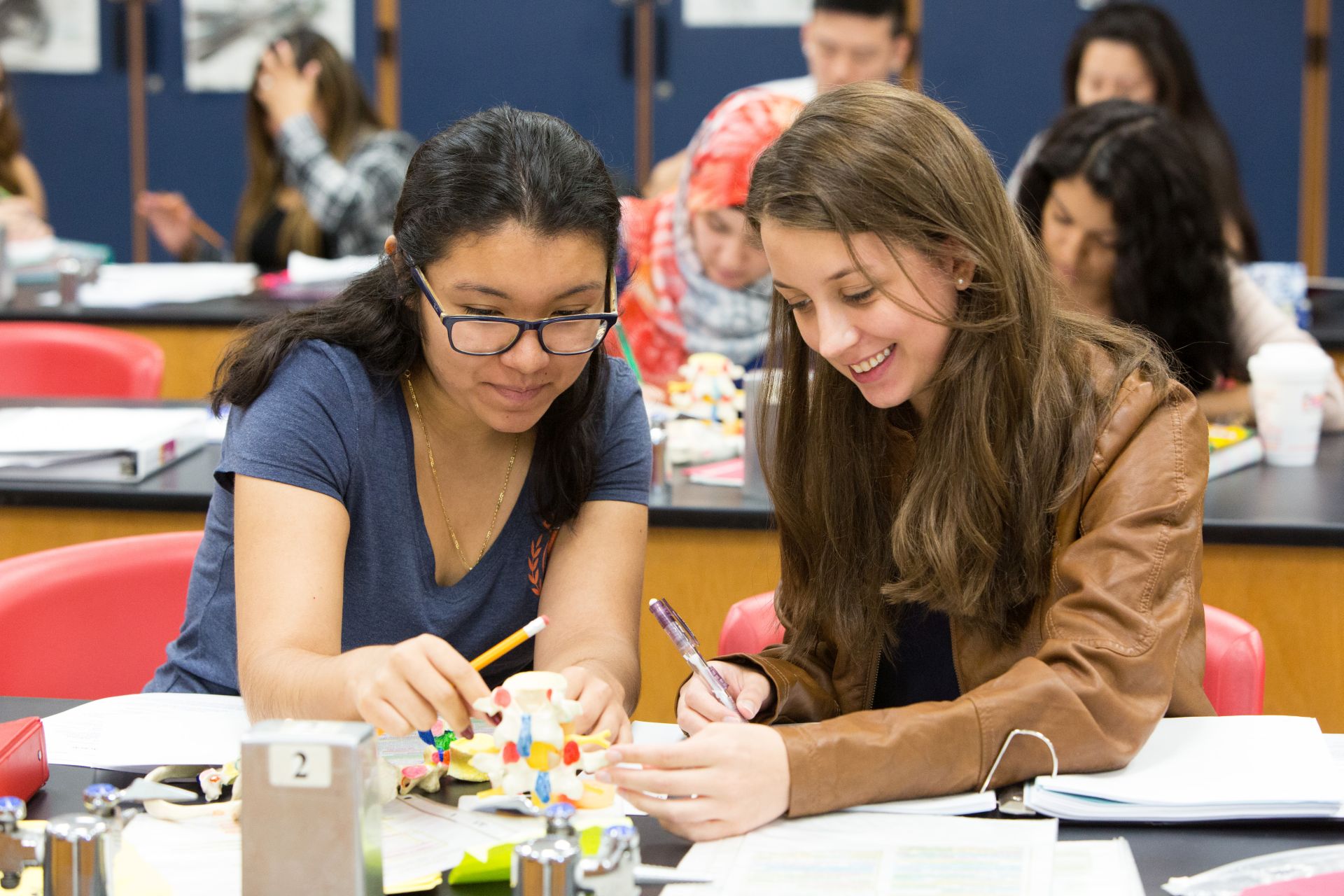 Job Search Results CCC Careers