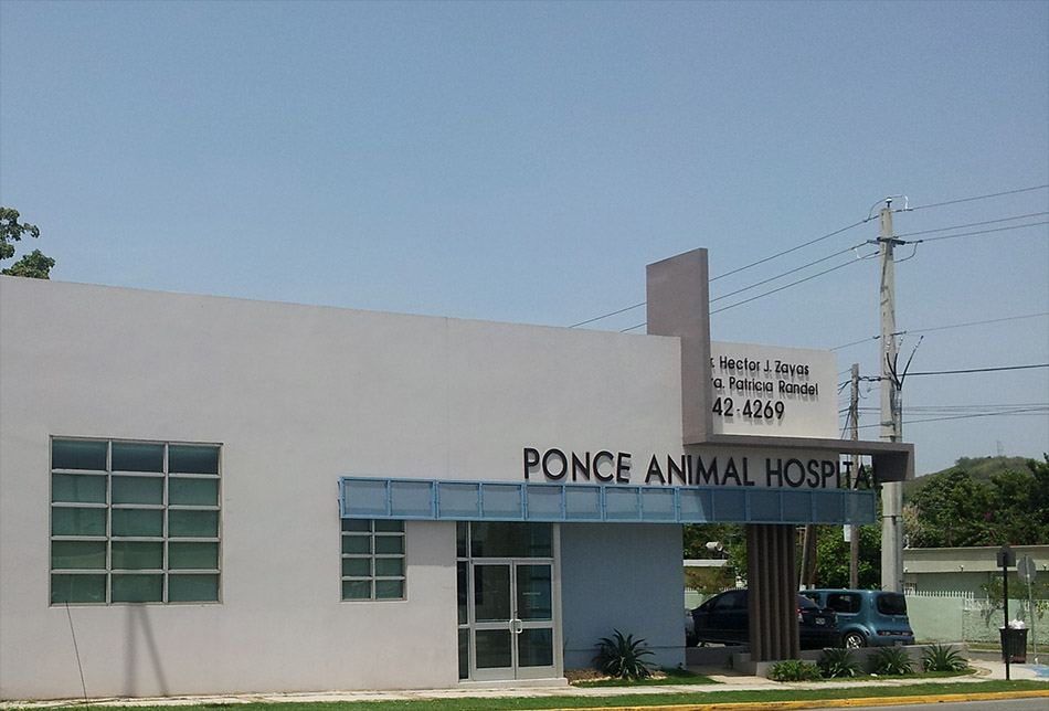 Ponce Animal Hospital Dr. Hector Zayas CC Contractors Corp.