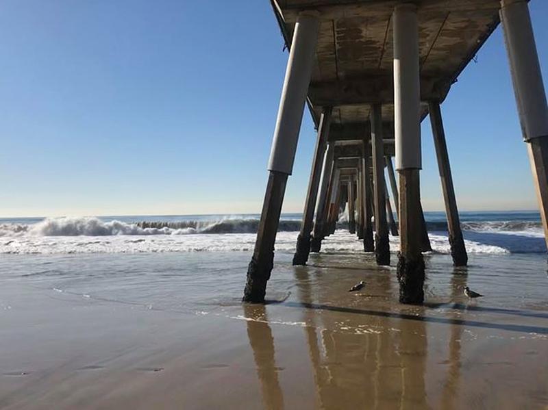 Surf City Hostel in Los Angeles, USA Hostel