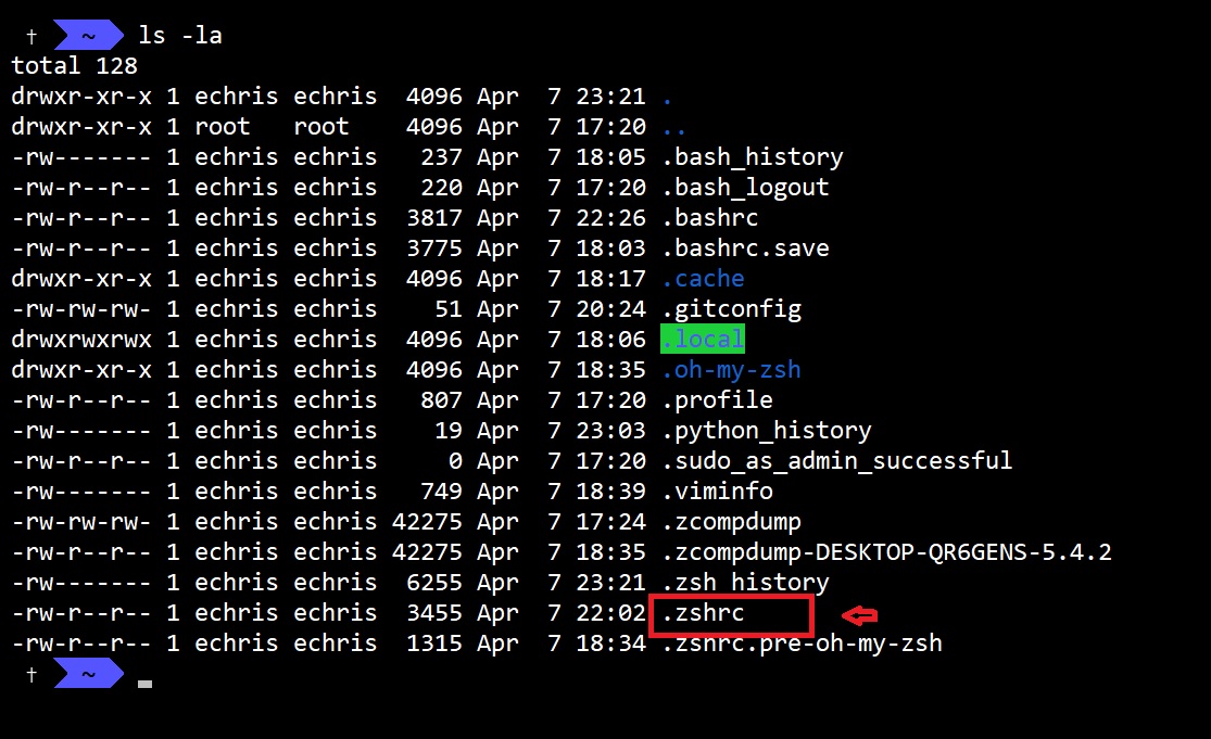 Beginners guide to using ZSH in Windows 10 BlogSite by Christian Emenike