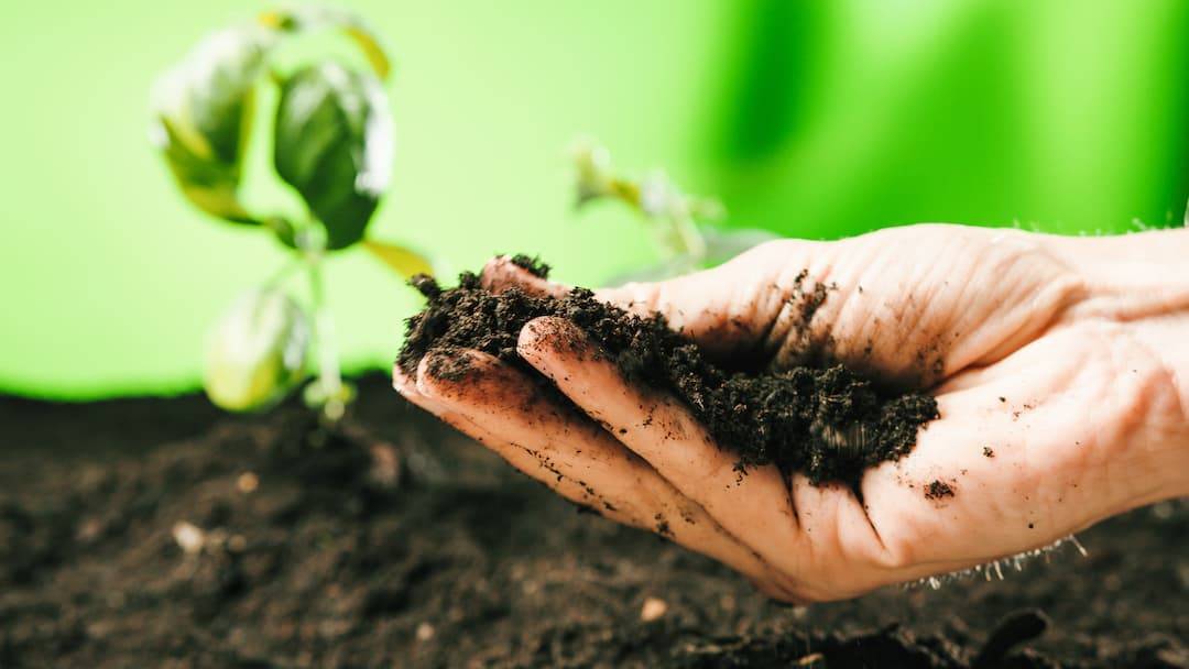 Topsoil A Beginner’s Guide To Topsoil, Screened Topsoil & Subsoil