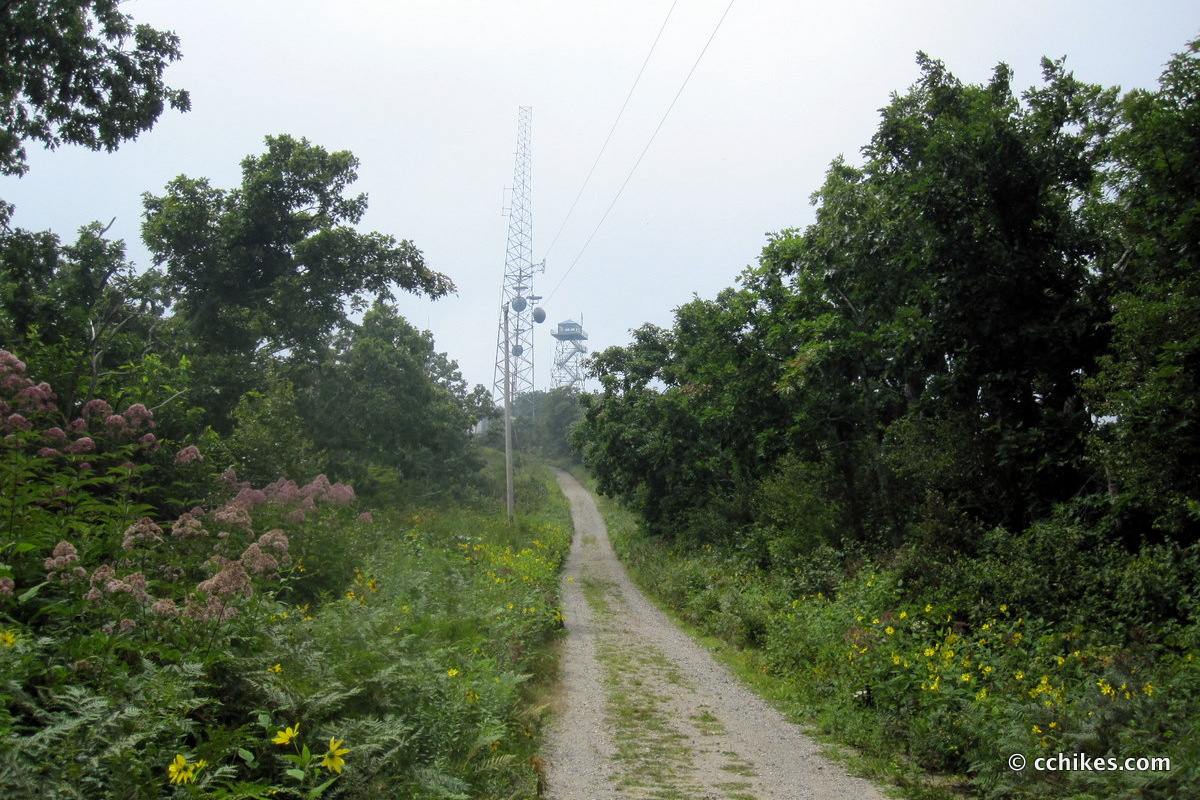 Visit Frying Pan Mountain Lookout Tower in North Carolina