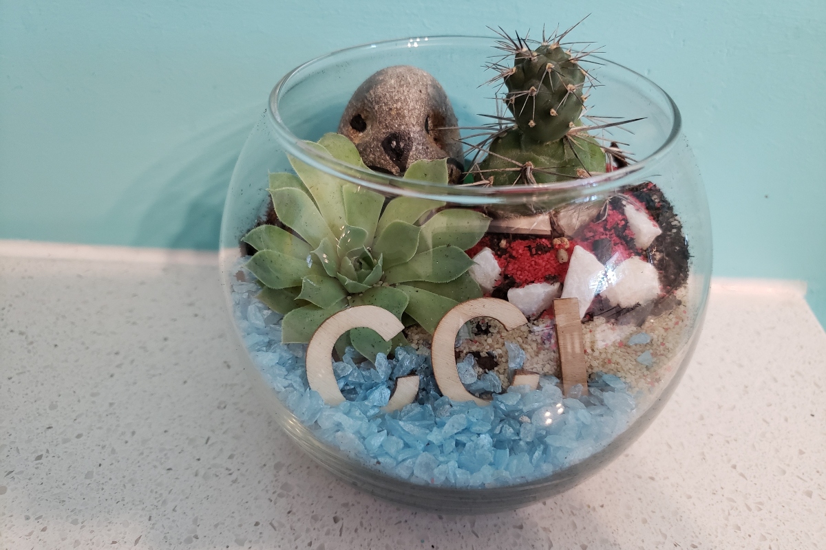 Terrariums equal family fun CCI Ottawa