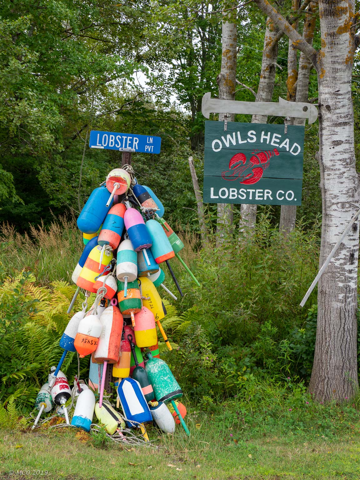 Owls Head Mick Mac Travels